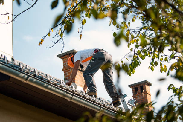 Best Roof Ventilation Installation  in Harrison, OH
